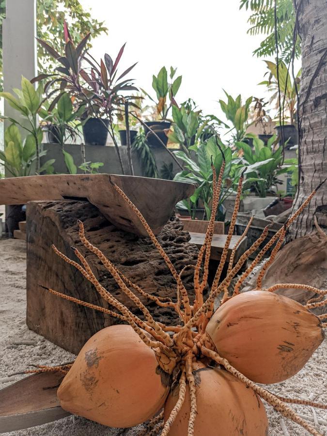 Dhoadhi Retreat Hotel Thulusdhoo Kültér fotó