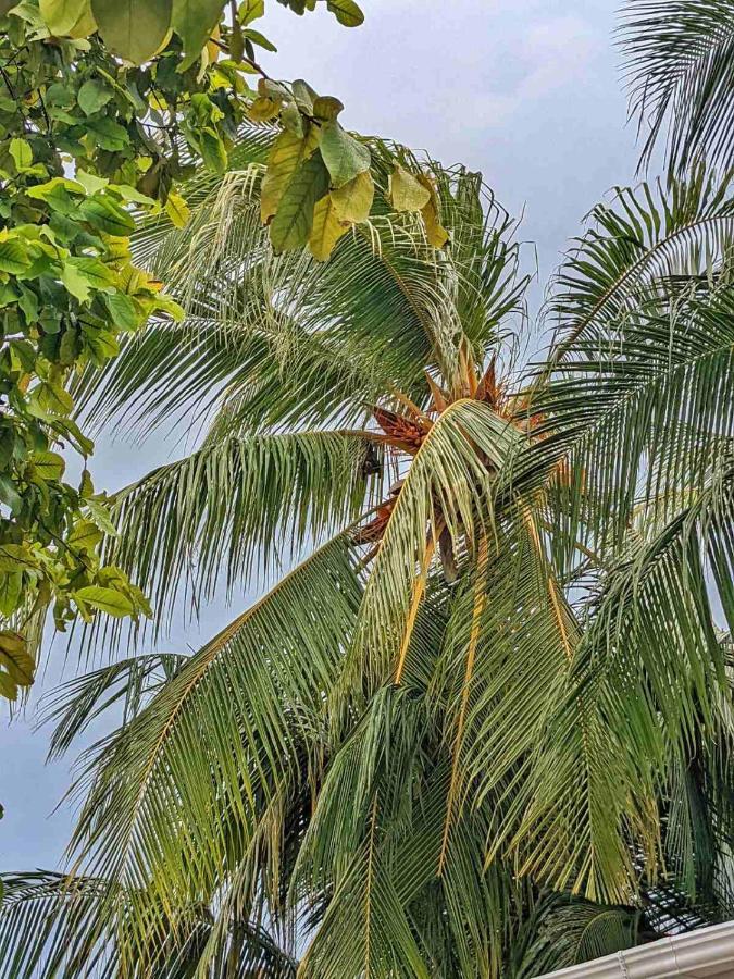Dhoadhi Retreat Hotel Thulusdhoo Kültér fotó